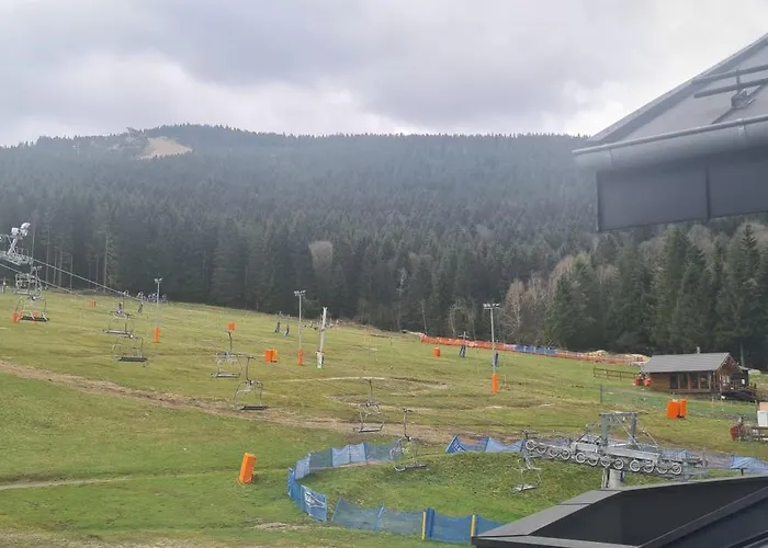 Czarna Perla Czarna Gora 402 * Sienna (Klodzko)